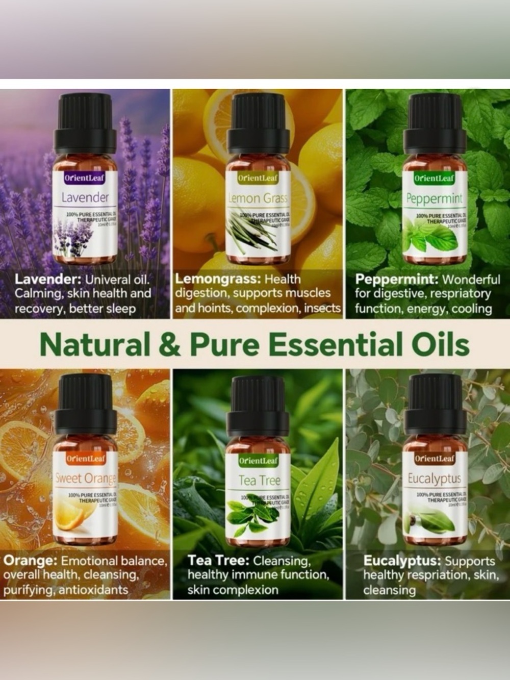 Essential Oil Gift Set (NWT!) - Picture 2 of 8